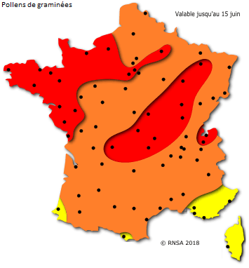 Image d'illustration pour Orages et pollens de graminées favorisent la crise d'asthme