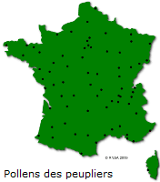 Image d'illustration pour Végétation en avance, pollens et allergies