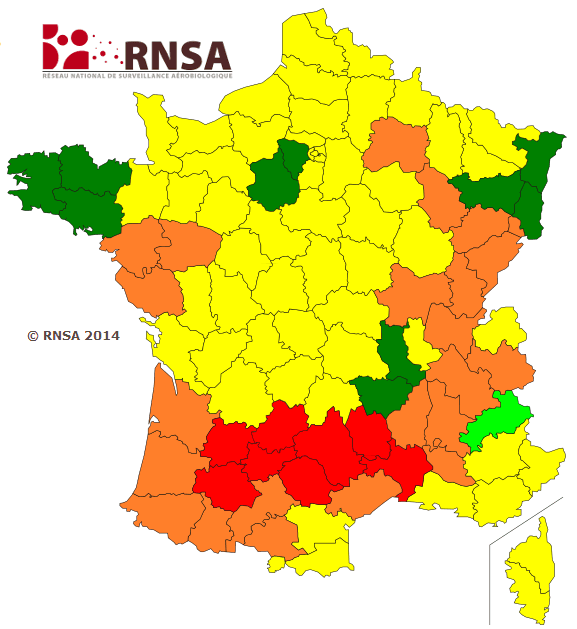 Image d'illustration pour Allergies : fréquents pollens de graminées