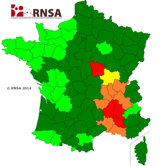Image d'illustration pour La saison des pollens d'ambroisie se poursuit