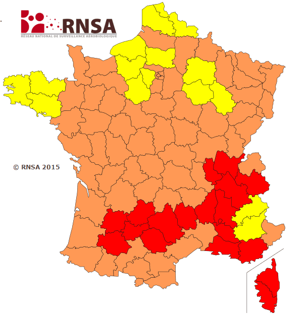 Image d'illustration pour Risque allergique élevé face aux pollens de graminées