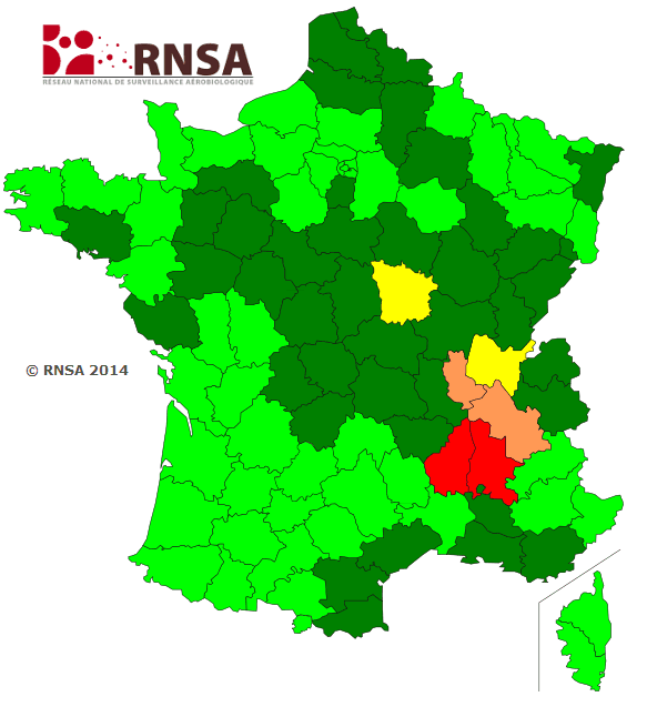 Image d'illustration pour Allergies : en pleine saison des pollens d'ambroisie