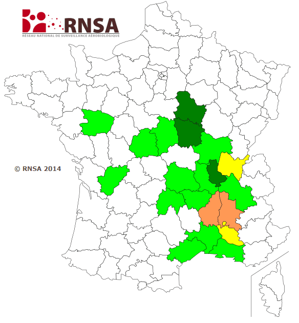 Image d'illustration pour Vers la fin de la saison des pollens d'ambroisie