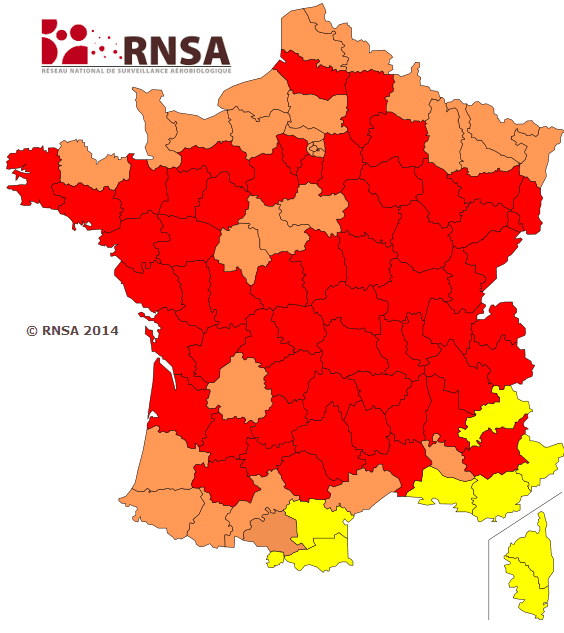 Image d'illustration pour Allergies : pollens de graminées très présents