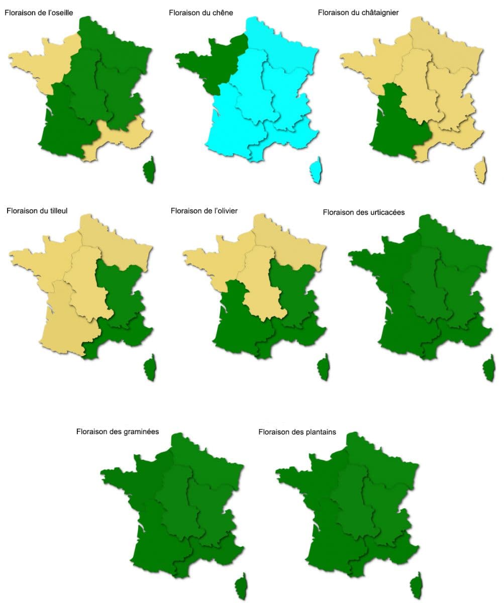 Image d'illustration pour Fortes chaleurs et allergies : alerte aux graminées !