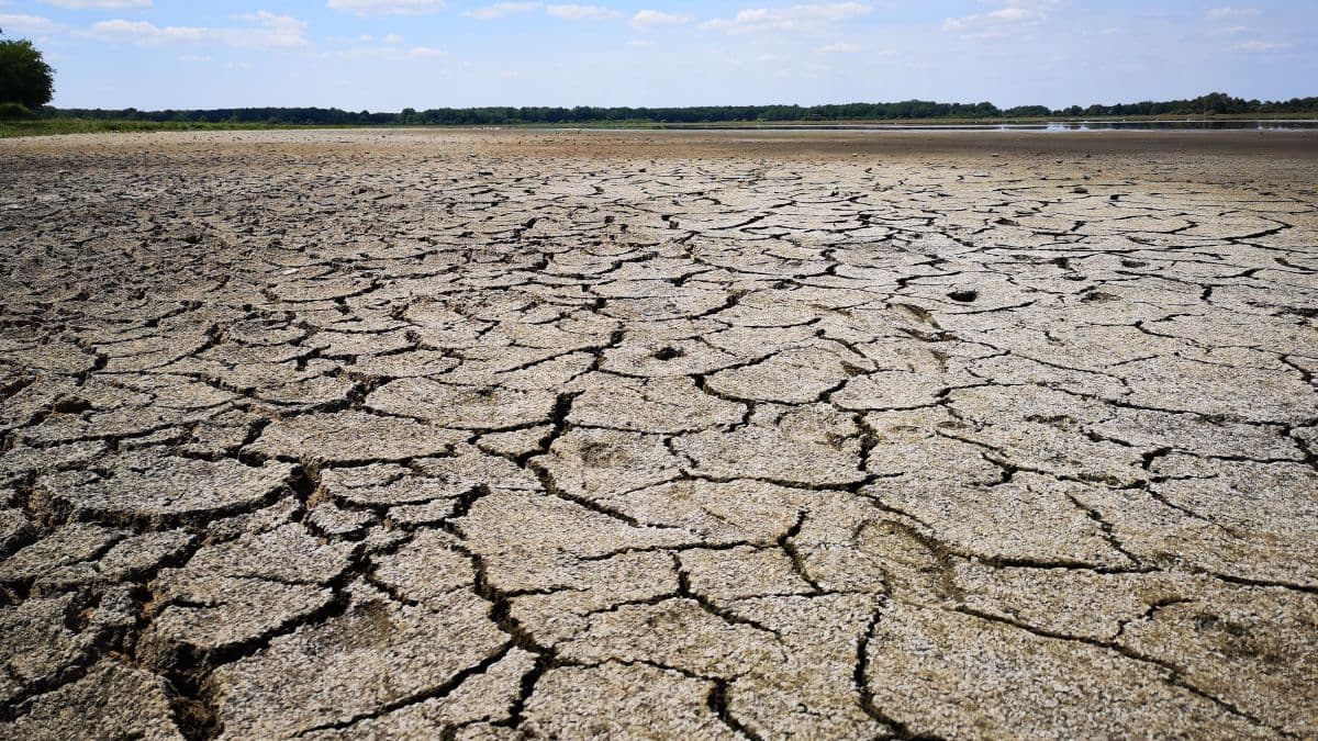 Image d'illustration pour Vers une poursuite et une intensification de la sécheresse