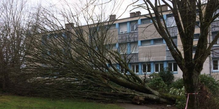Image d'illustration pour Tempête Zeus meutrière