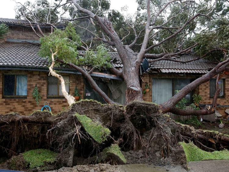 Image d'illustration pour Forte tempête sur l'Est de l'Australie : vagues, érosion et inondations