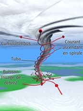 Image d'illustration pour Tuba, trombe, tornade et mini-tornade : quelles différences ? 