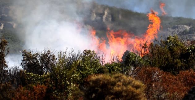 Image d'illustration pour Vent d'Est en Méditerranée - Chaleur et incendie en Corse